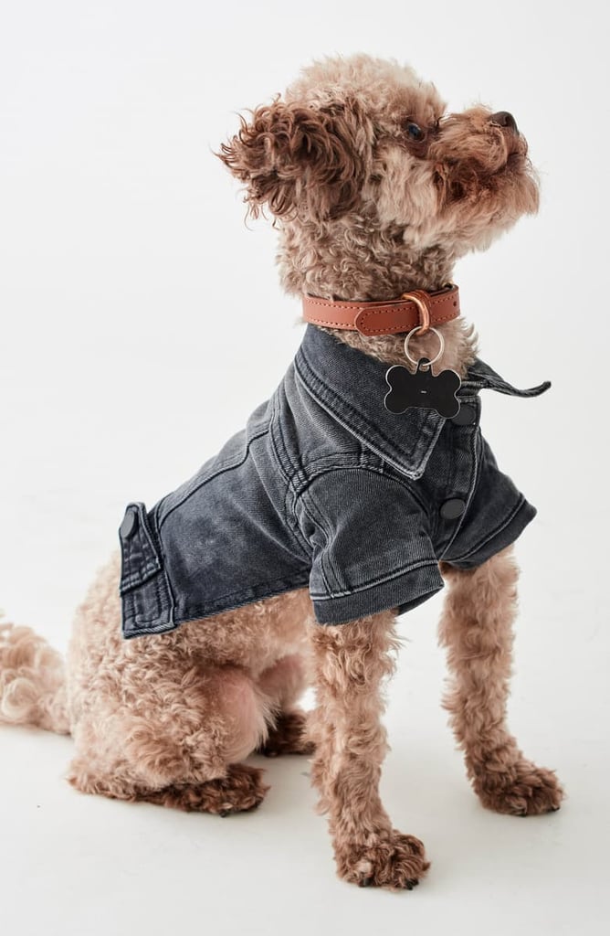 Fido Canine Trucker Jacket