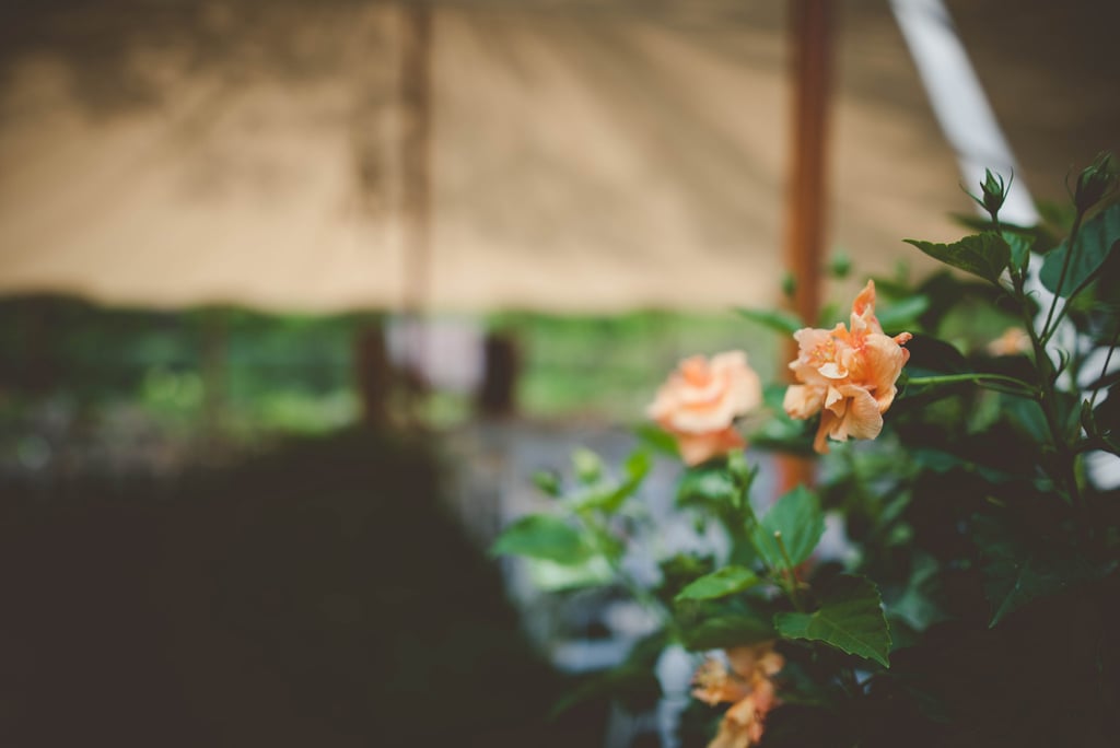 Garden Wedding