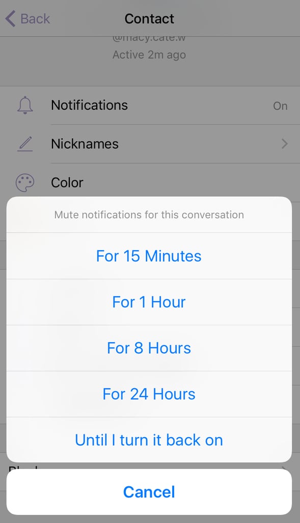 Mute notifications when you're really busy. Facebook Messenger Tips