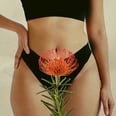A Love Letter to My Big, Bushy, 1970s-Esque Pubic Hair