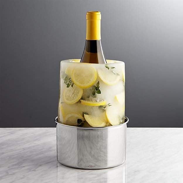 Crate & Barrel Ice Mold/Wine Bottle Chiller Thoughtful Gifts Ideas