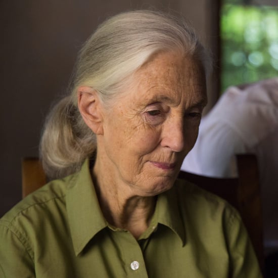 Jane Goodall Interview on Climate Change October 2017