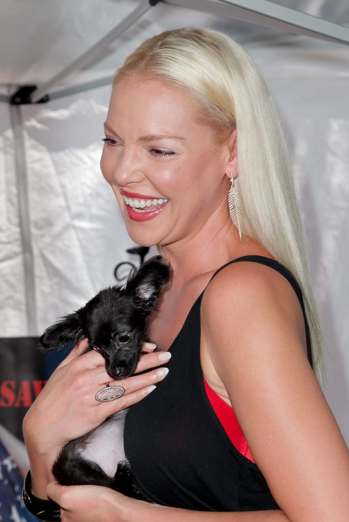 Katherine Heigl Red Carpet Pictures August 2015