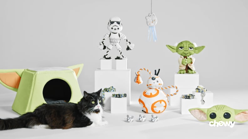 Chewy's Star Wars Collection