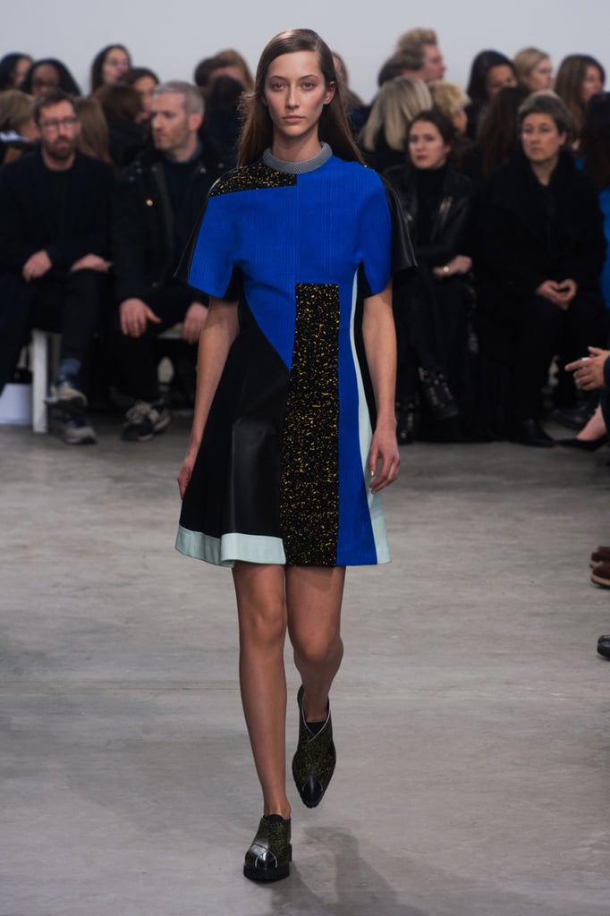 Proenza Schouler Fall 2014