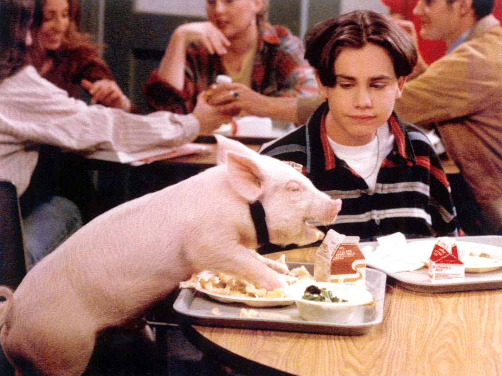 Even Shawn's Pets Were Adorable Shawn Hunter on Boy Meets World