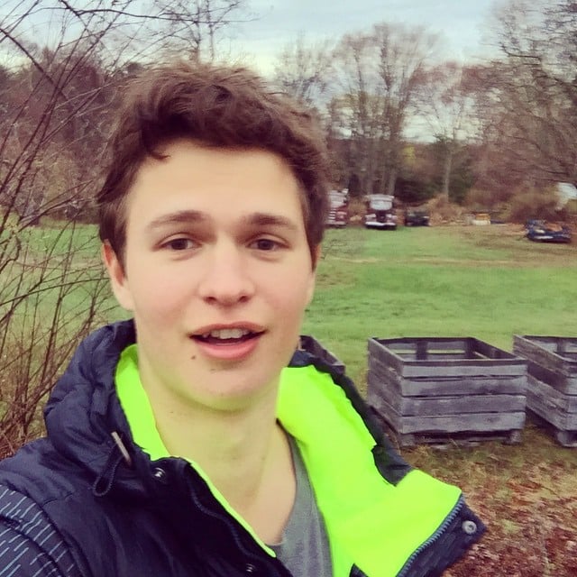 Ansel Elgort