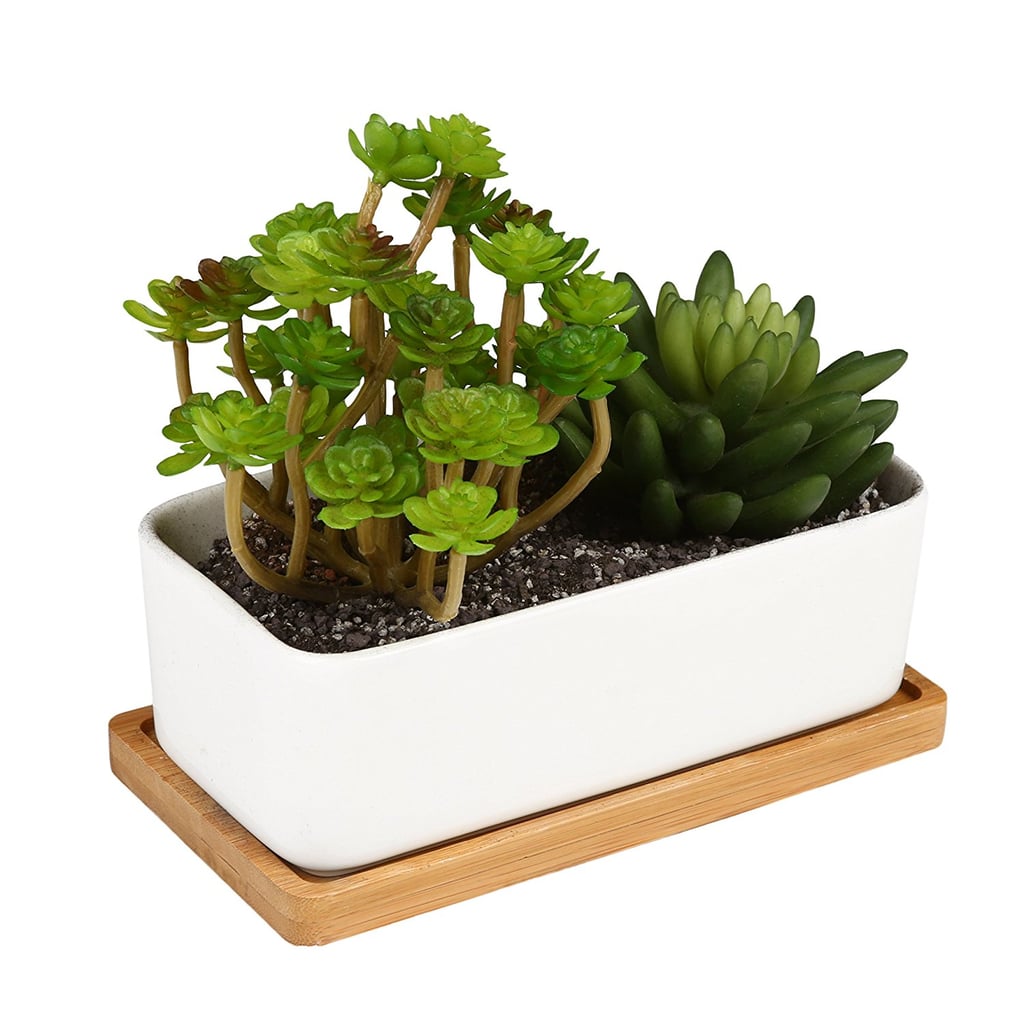 Ceramic Planter
