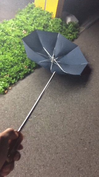 When you wish rainy days actually went like this.