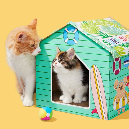 Best Summer Cat Scratch Houses at Target