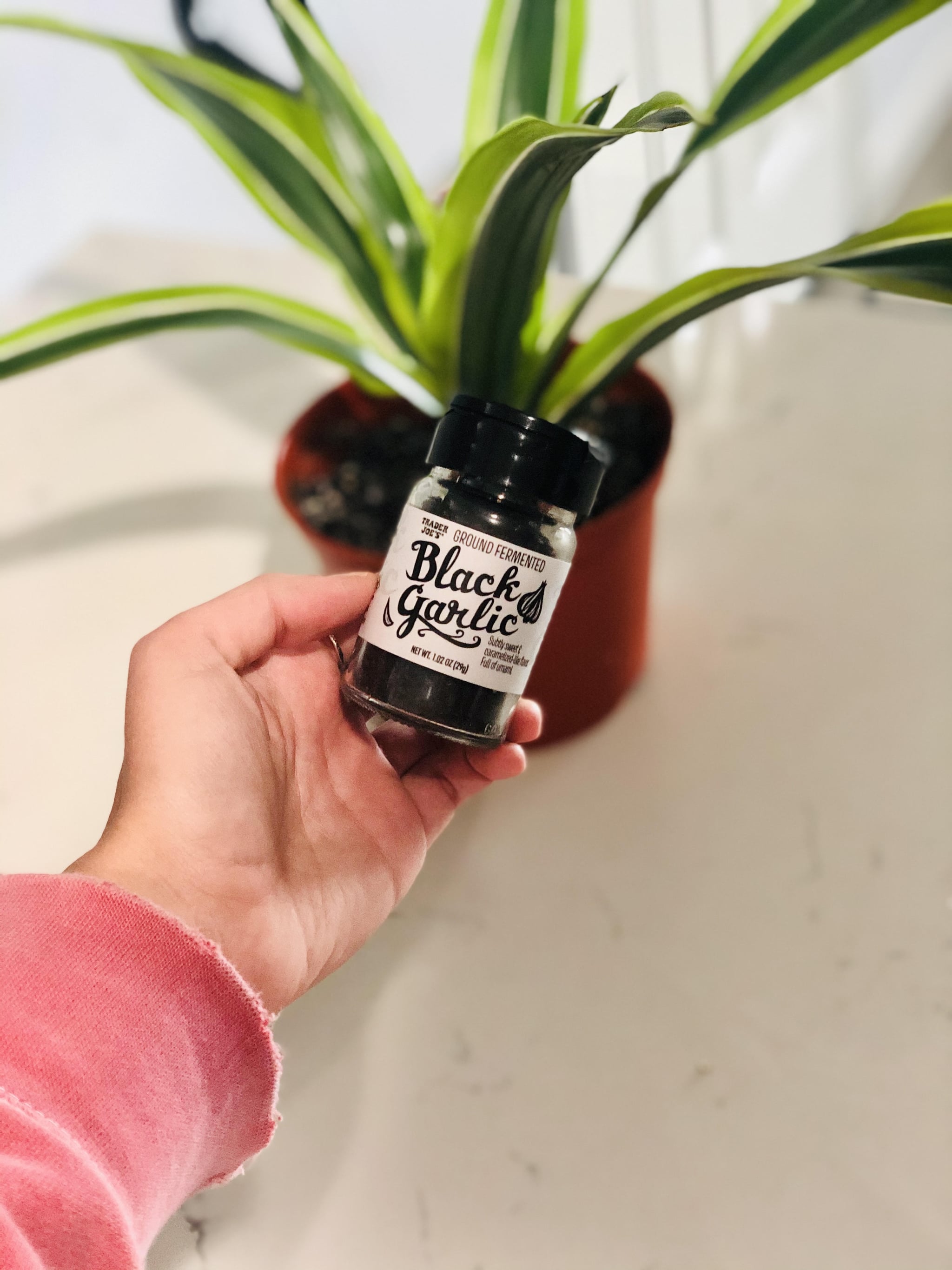 Trader Joes Black Garlic Seasoning Review Popsugar Food