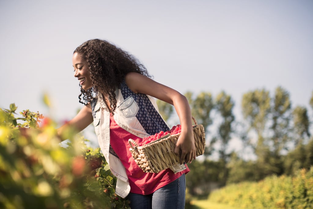 Go berry picking.