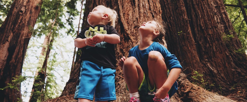 Outdoor Learning Activities