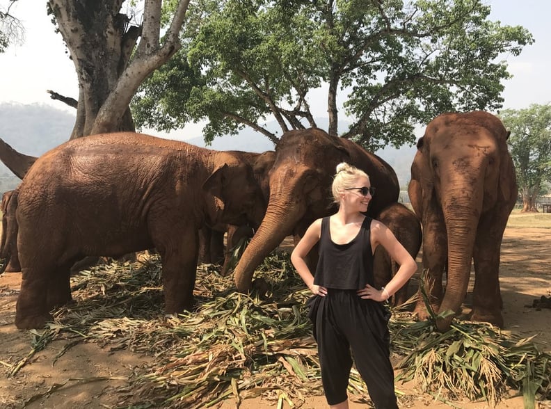 Care For Elephants in Thailand