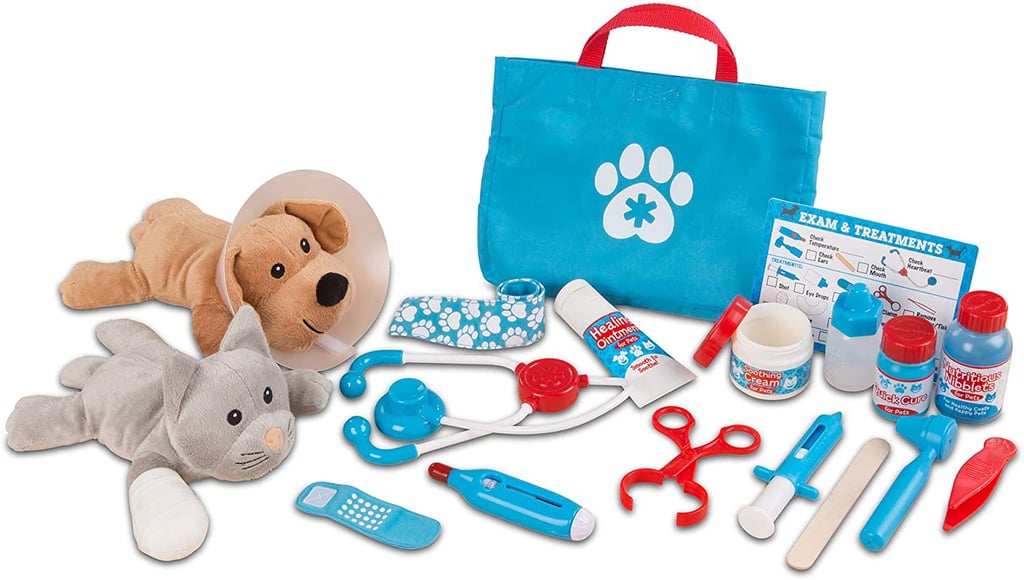 Examine and Treat Pet Vet Play Set