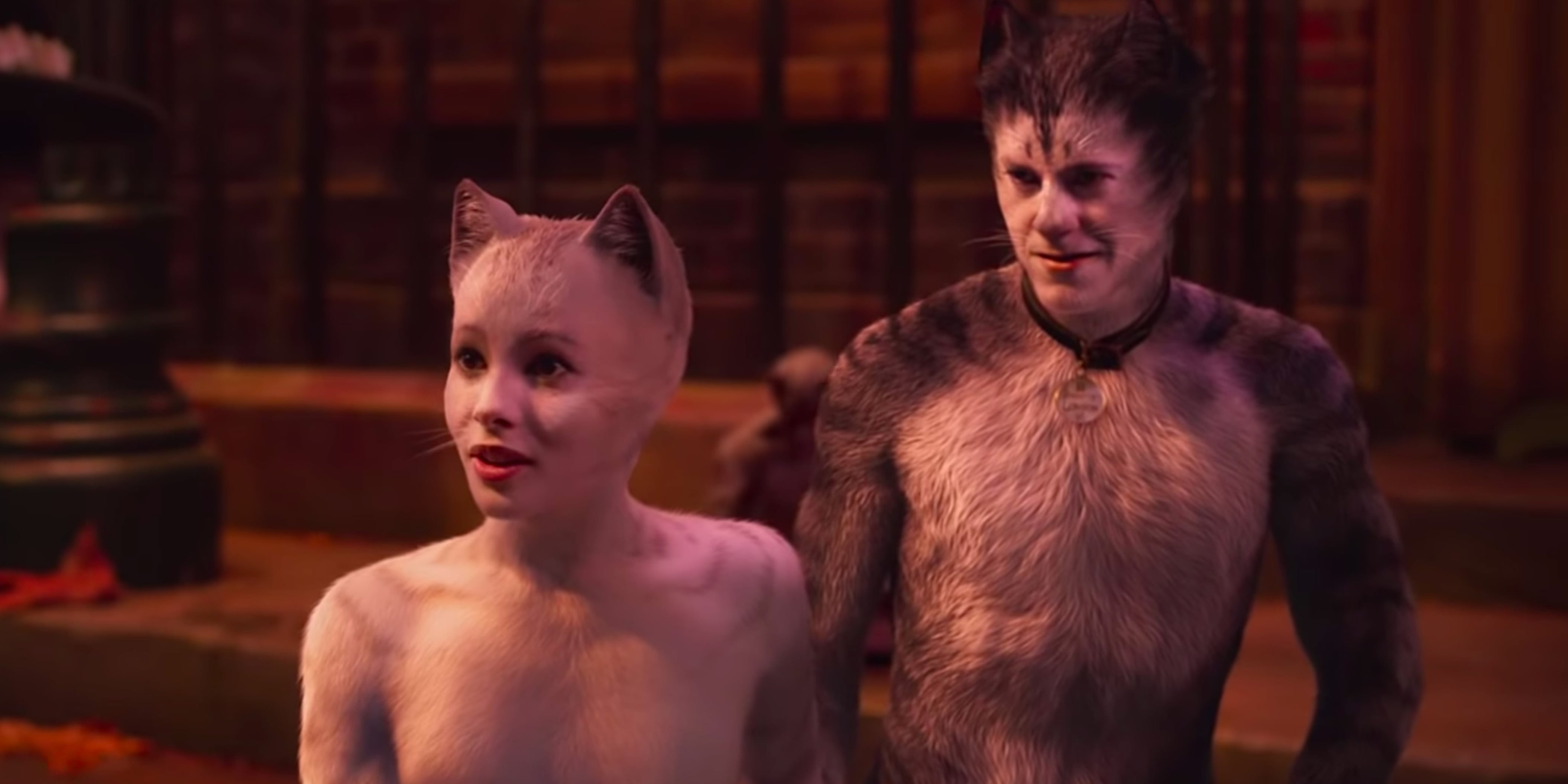 What Is Cats the Musical About?