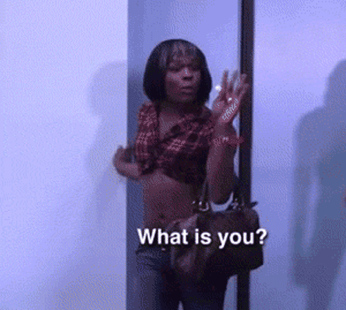 When Vision First Appears