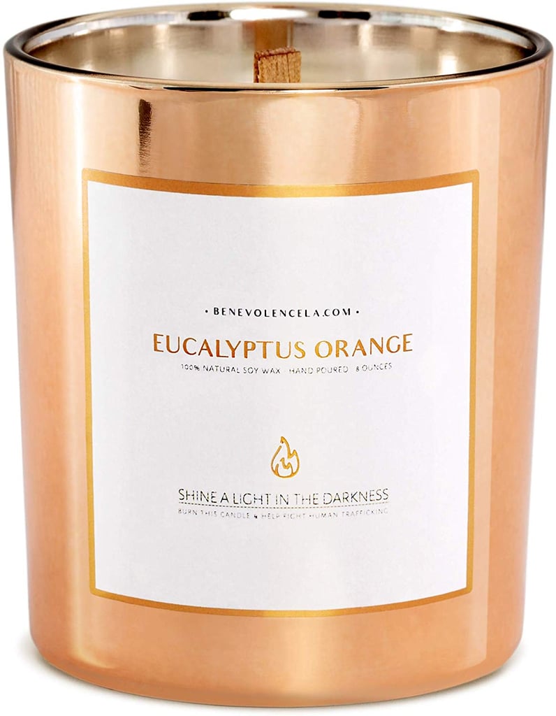 Eucalyptus Orange Benevolence Soy Candle