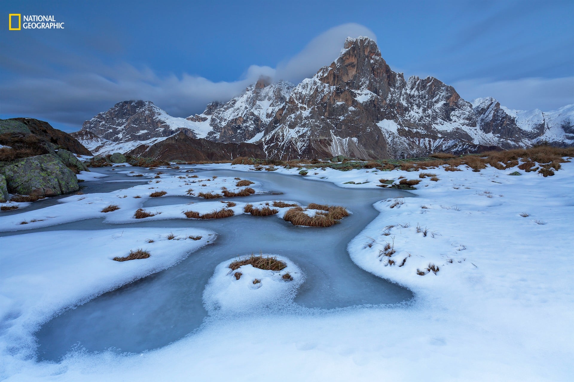 2016 National Geographic Nature Photographer Winners | PS Tech