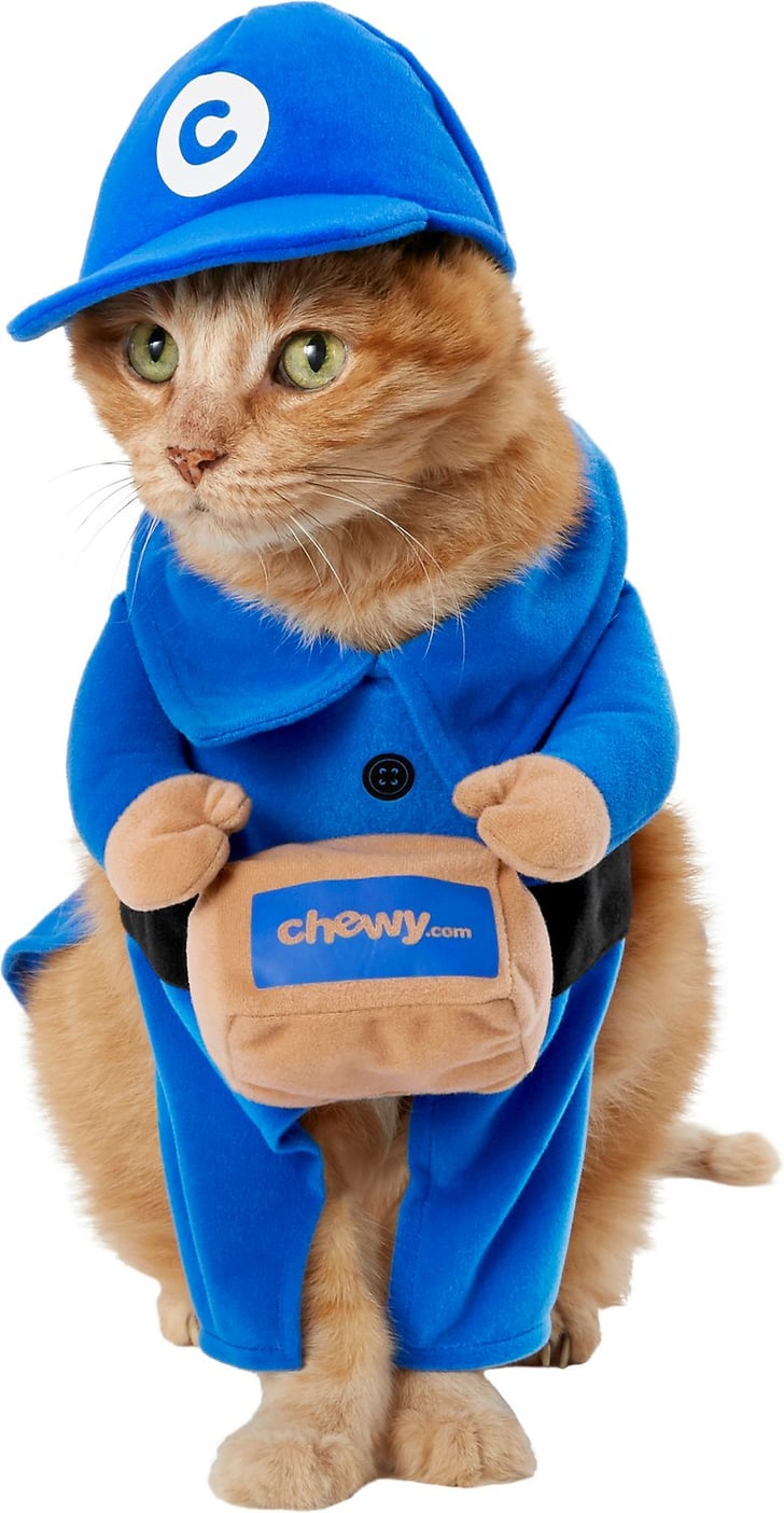 Postman Cat Costume Best Cat Costumes For Halloween 2020 POPSUGAR