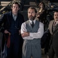 "Fantastic Beasts 3" Lets Dumbledore Be Gay, but It Can't Cover Up J.K. Rowling's Transphobia