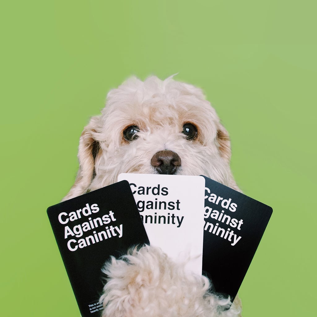 Earth Rated knows what they're talking about when they say everything is better when you add dogs. Such is the case with this fan-made Cards Against Caninity expansion pack that you can win just by nominating a dog shelter to receive a donation from Earth Rated. The limited-edition cards are only available through Feb. 10, though, so get to nominating!
