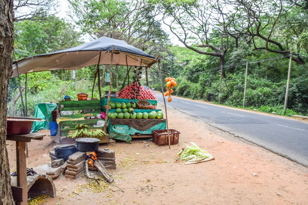 Roadside Fruit Stands