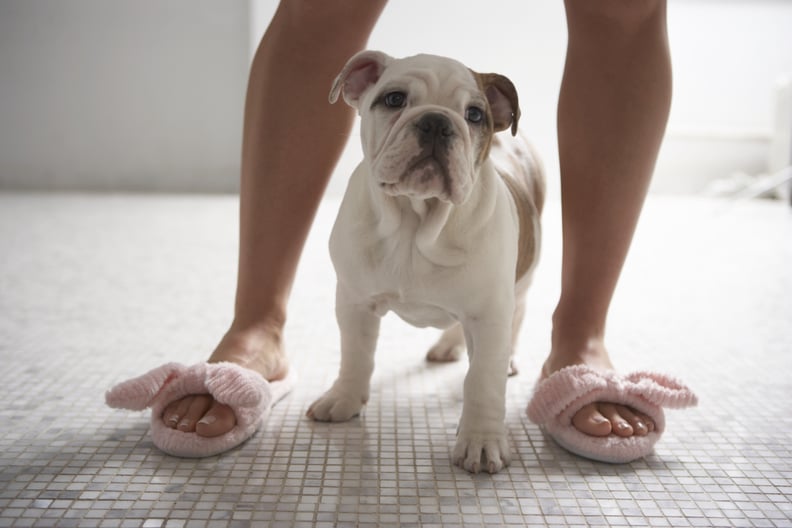 Puppy Licks to a Woman's Feet May Have Caused Serious Skin Infection