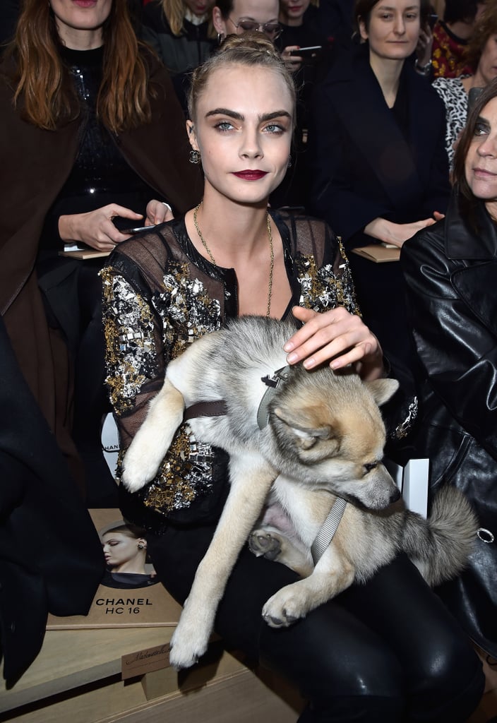 Cara Delevingne Brings a Dog to the Chanel Couture Show 2016