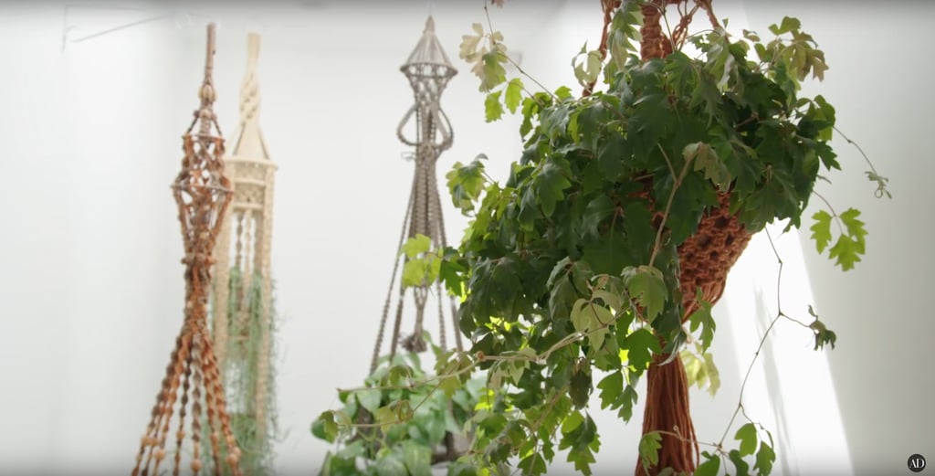 Here's a peek at those trendy hanging macrame planters.