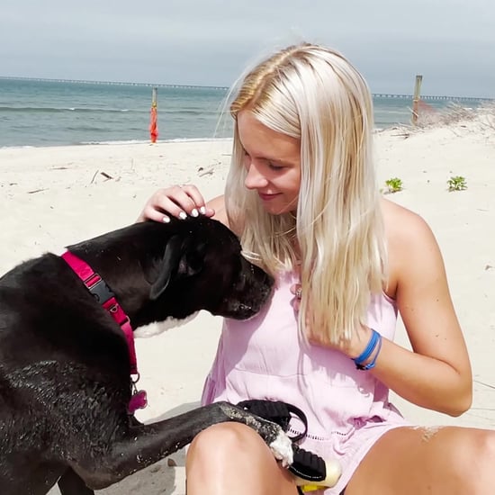 This Teen Has Fostered 50 Dogs