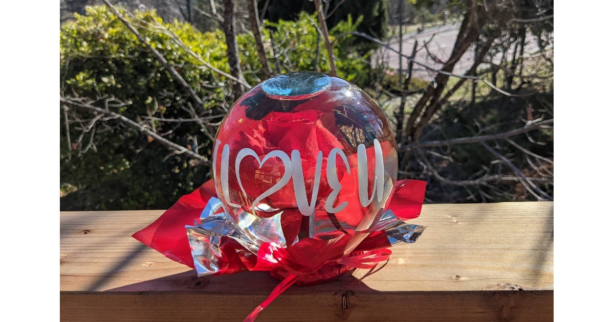 Personalized Rose Globe Where to Buy Rose Globes For Valentine's Day