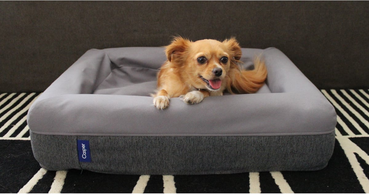 the casper dog bed