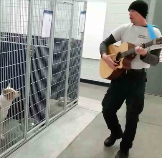 Man Sings to Dogs at Shelter