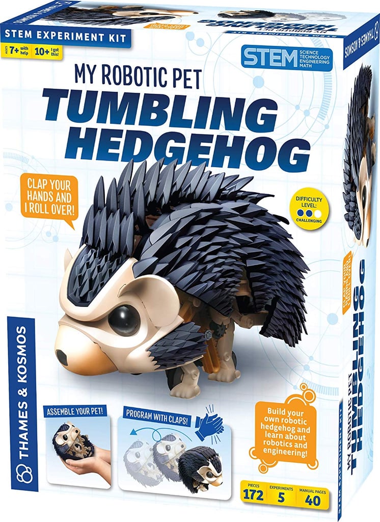 Thames & Kosmos My Robotic Pet Tumbling Hedgehog Science Experiment and Modeling Kit