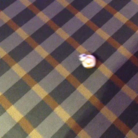The BB-8 Droid in Action