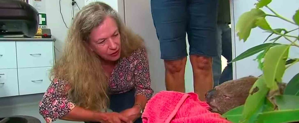 Woman Reunites With Koala She Saved From the NSW Bushfires
