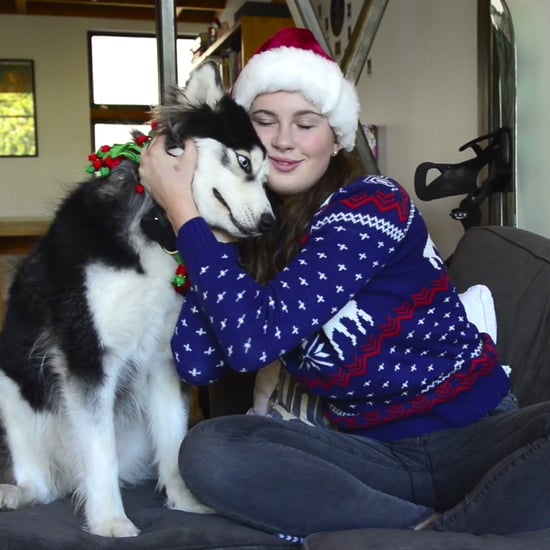 Ireland Baldwin's Dog