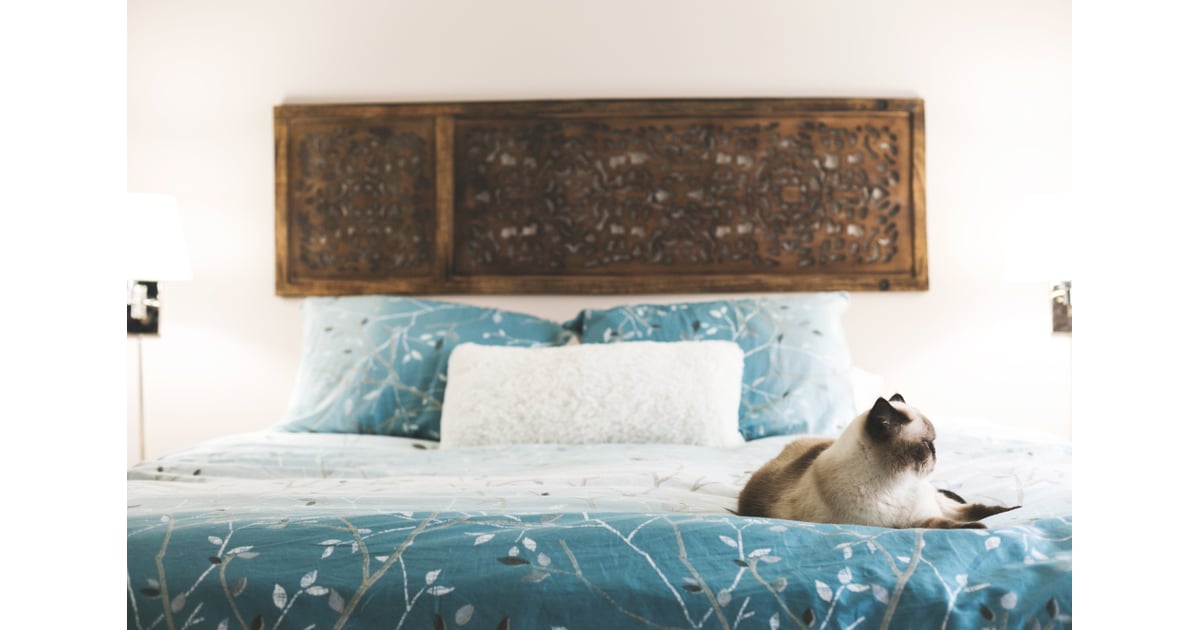 Leo How Much Sleep You Need Based on Your Zodiac Sign POPSUGAR