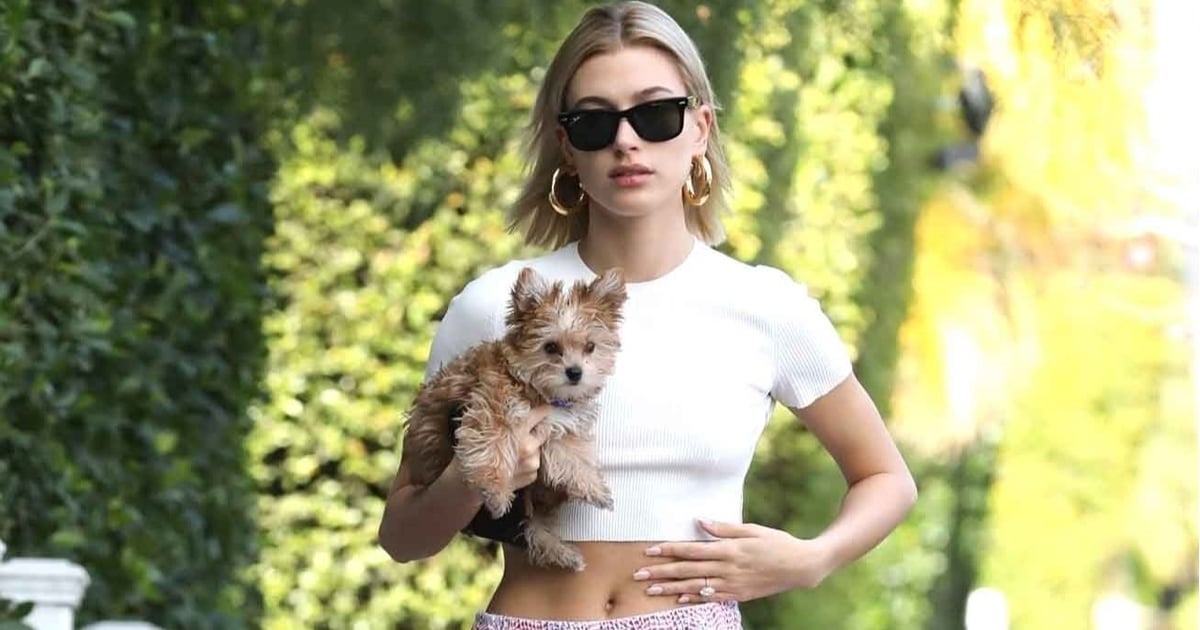 Nike Sportswear Women's Pants, Hailey Baldwin's Puppy Is Damn Cute, but  Her Pink Sweats Stole My Heart