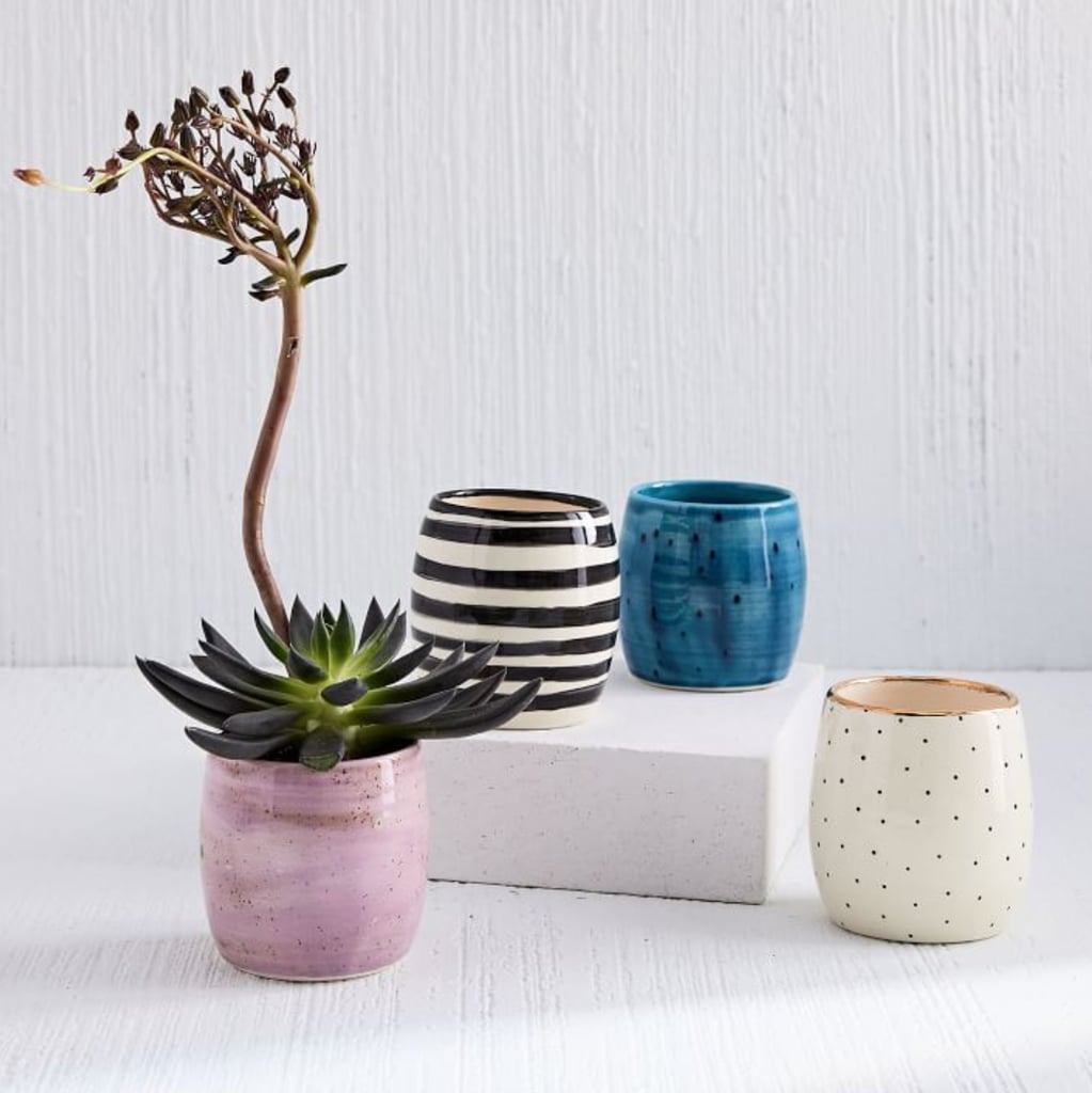 West Elm A Mano Ceramic Planter What to Shop Feb. 511, 2018