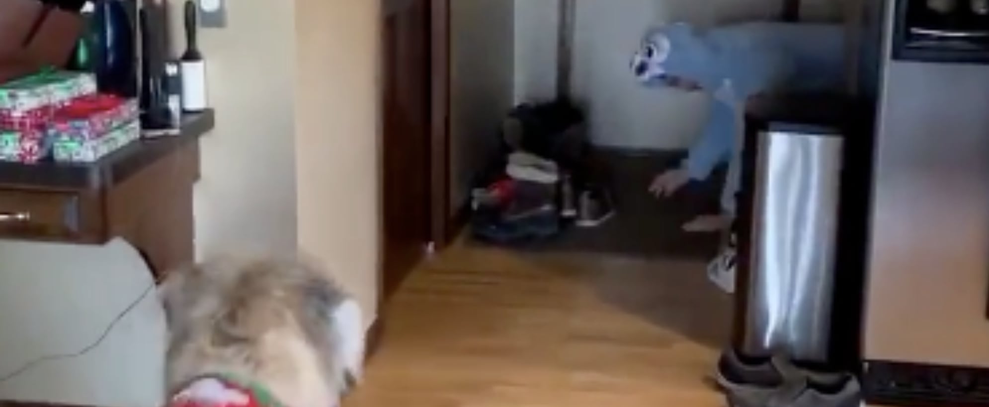 Tiktok Video Of Man In Onesie Scaring His Dog Popsugar Pets