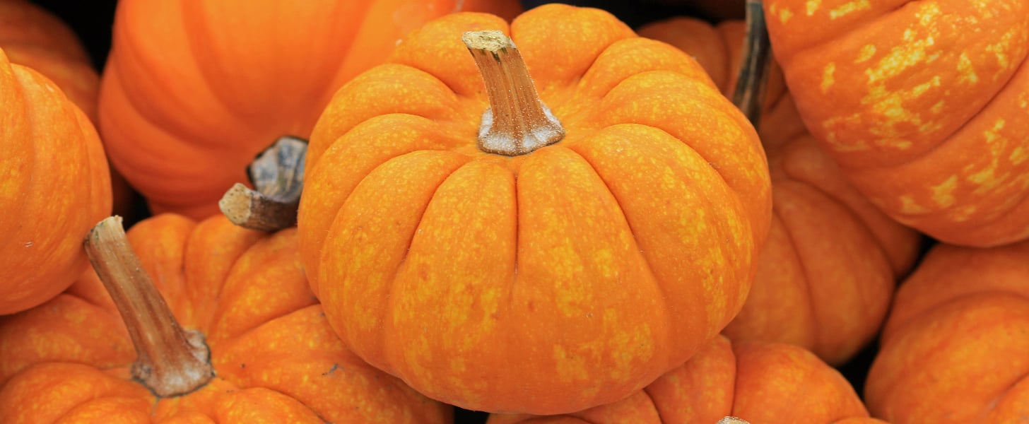 Pumpkin Face Mask Recipe PS Beauty