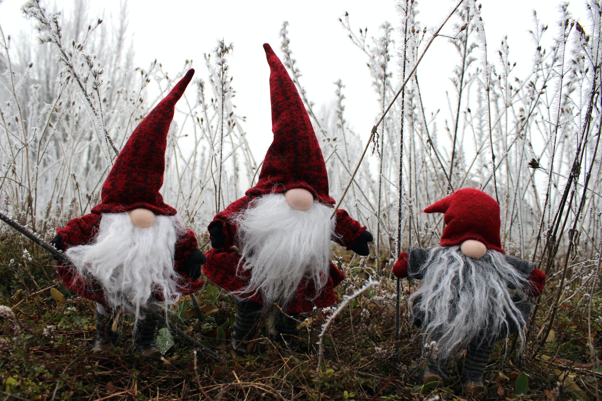 Christmas Gnomes Zoom Background | 20 Christmas Zoom Background Images That  Will Make You and Your Family LOL | POPSUGAR Tech Photo 3