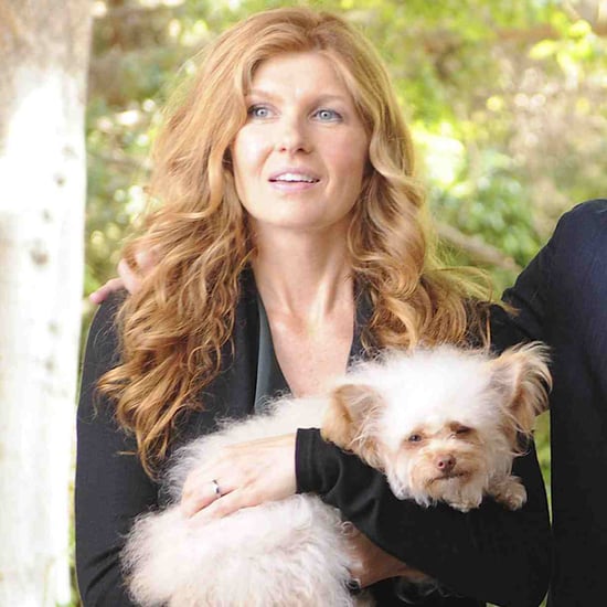 American Horror Story: Hotel Premiere Dog Reference