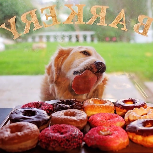Yum
