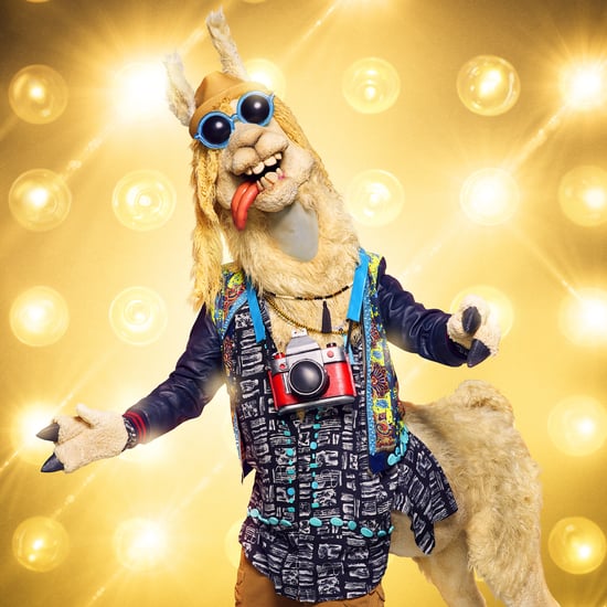 Who Is on the Masked Singer Season 3?
