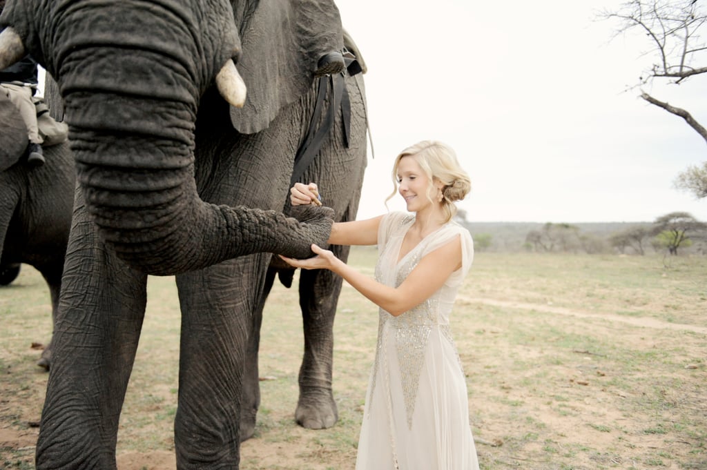 South African Safari Wedding With Elephants Popsugar Love And Sex 3695