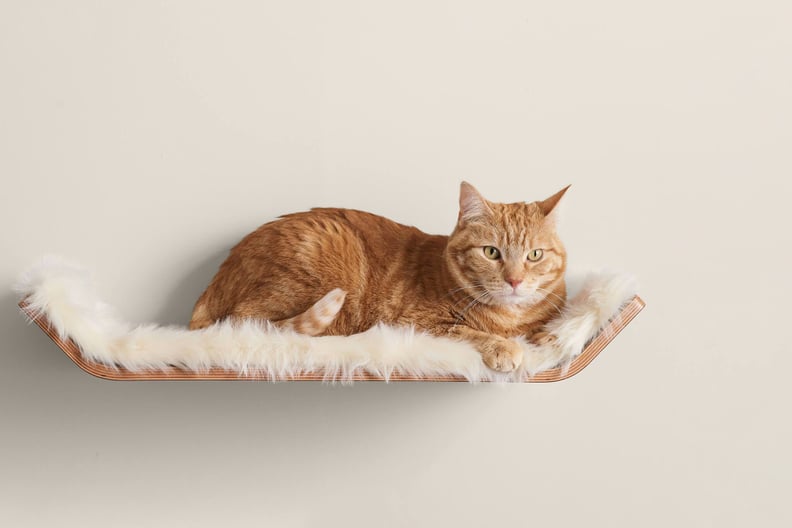 Tuft and Paw Vista Cat Perch