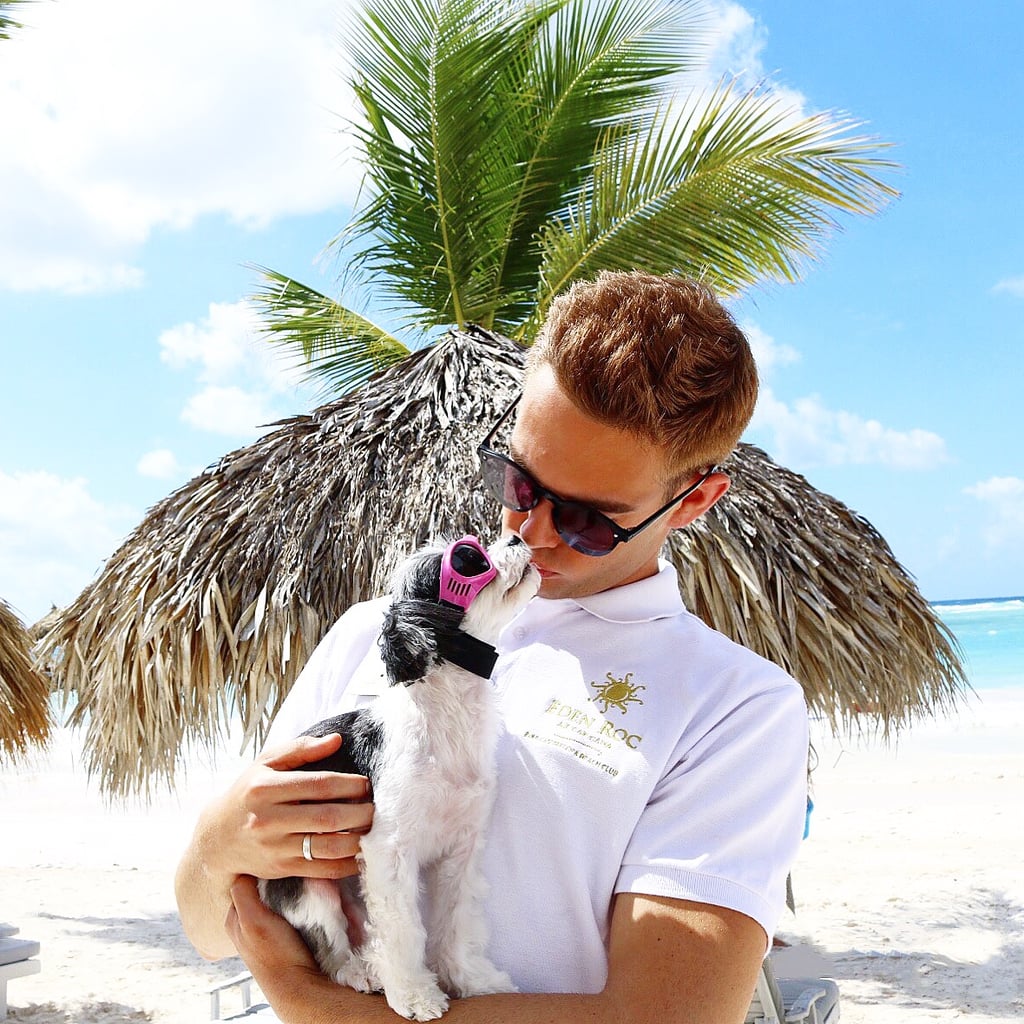 Tinkerbelle the Dog's Punta Cana Vacation